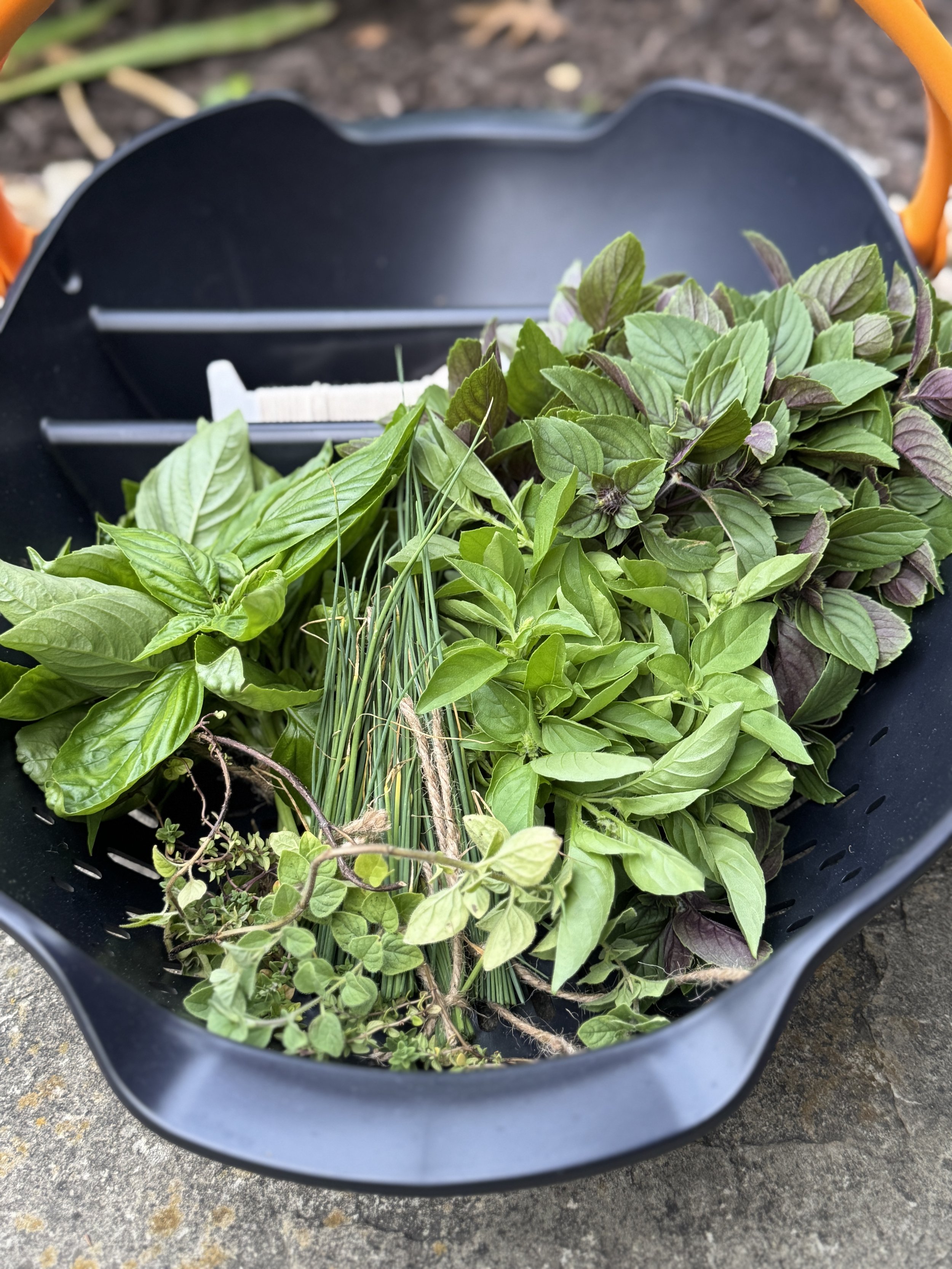 freshly picked herbs