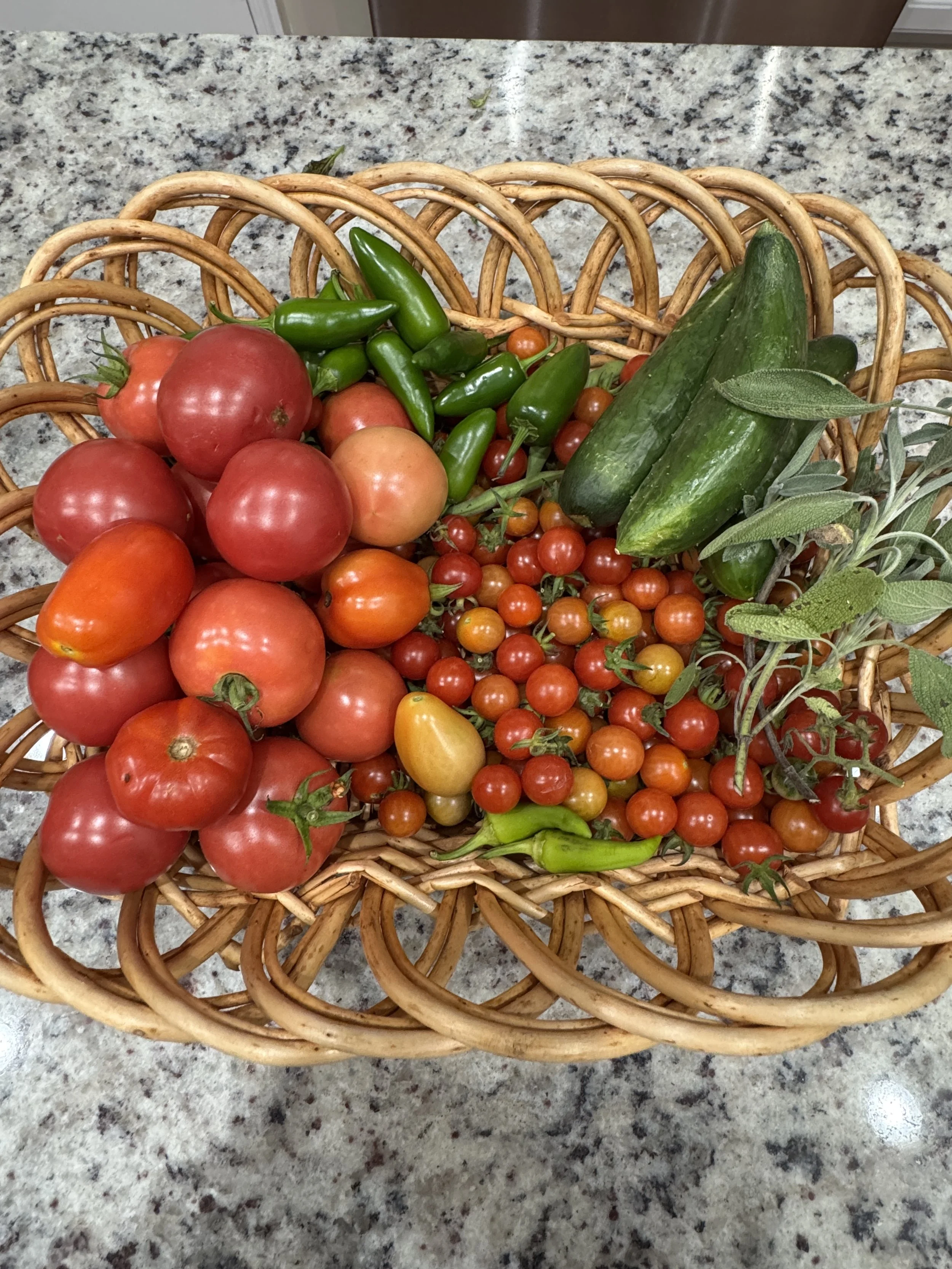 basket of harvested tomatoes, cucumber, beans, and peppers