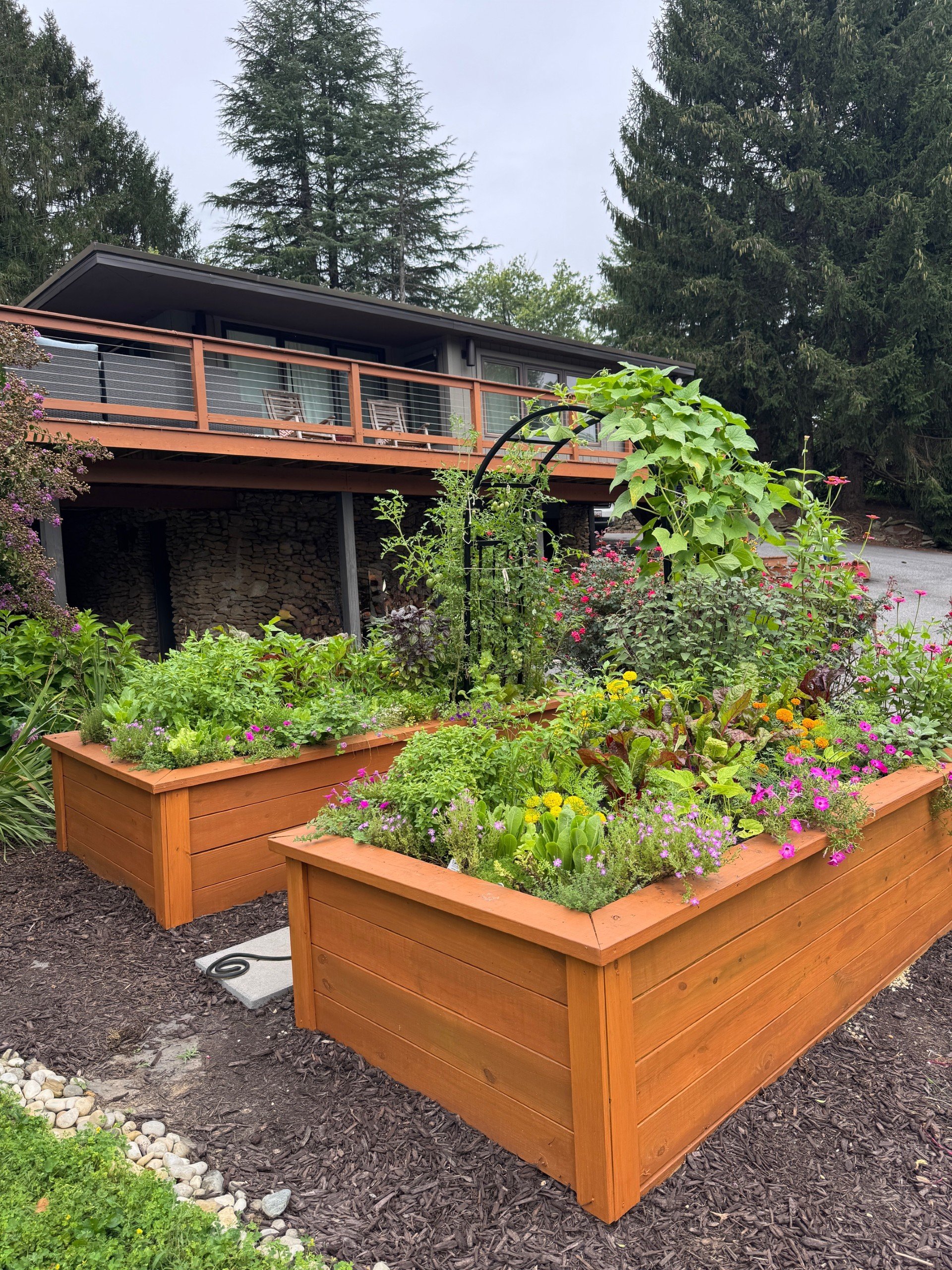 gorgeous stained raised lush garden bed with iron arch and cascading vines
