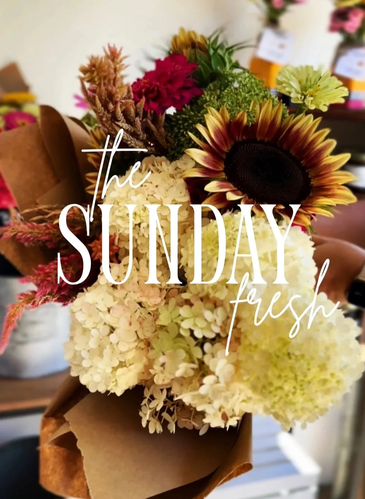 Sunday Fresh Adventures|001 Goldfinch Hill