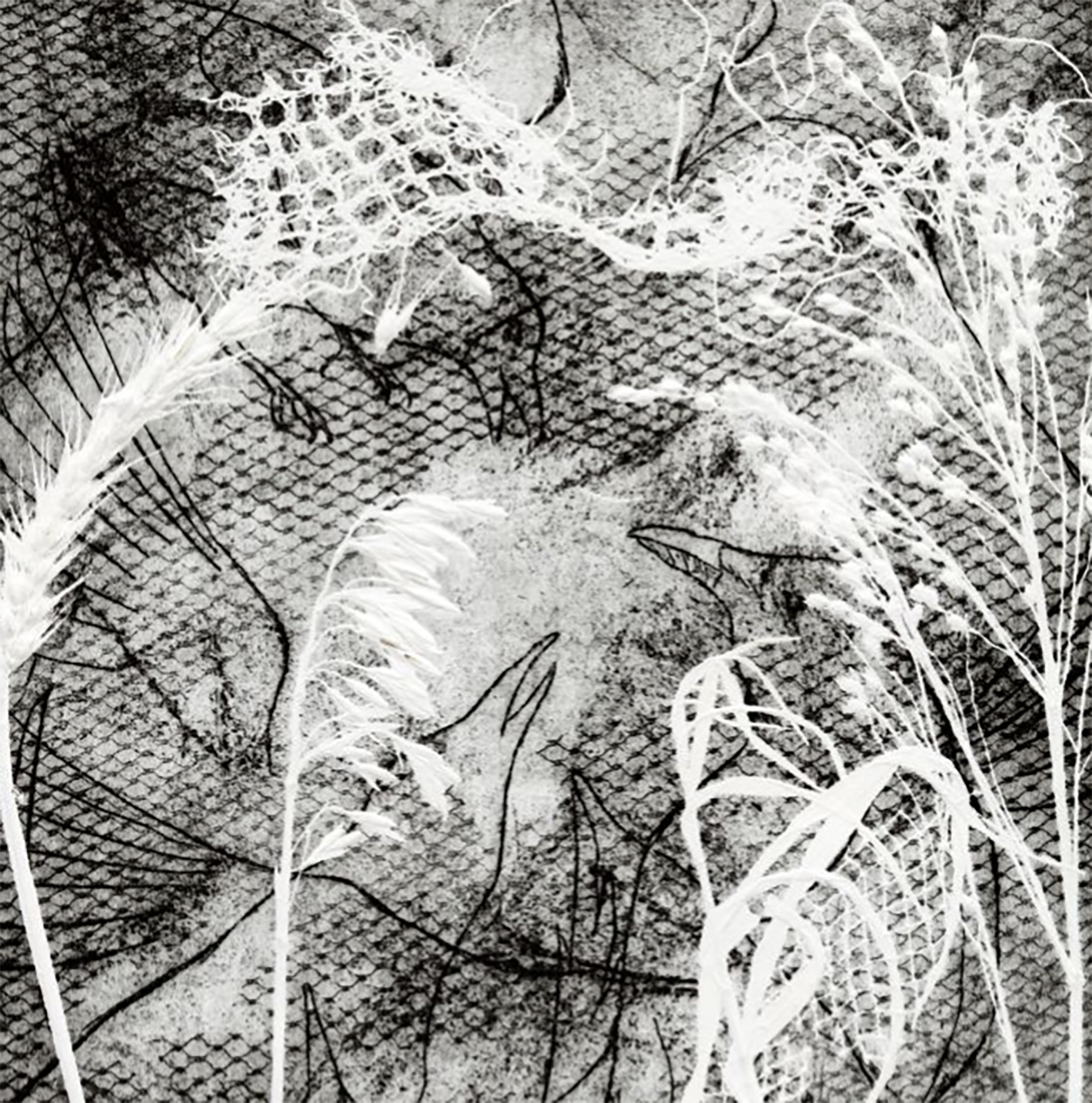 Divergent Spectrums IV: A Multi-Media Art Show