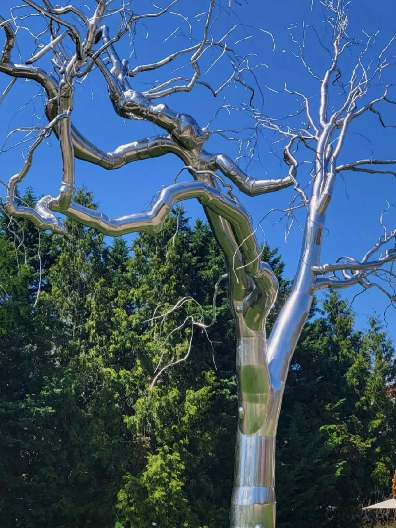 Trees &mdash;&mdash;&mdash; <&mdash;&mdash;&mdash;&mdash; ✨💚

#Nature #beauty #Trees 
#Selfcare #Love #Life #pisces 
#Knowing #discernment #💚