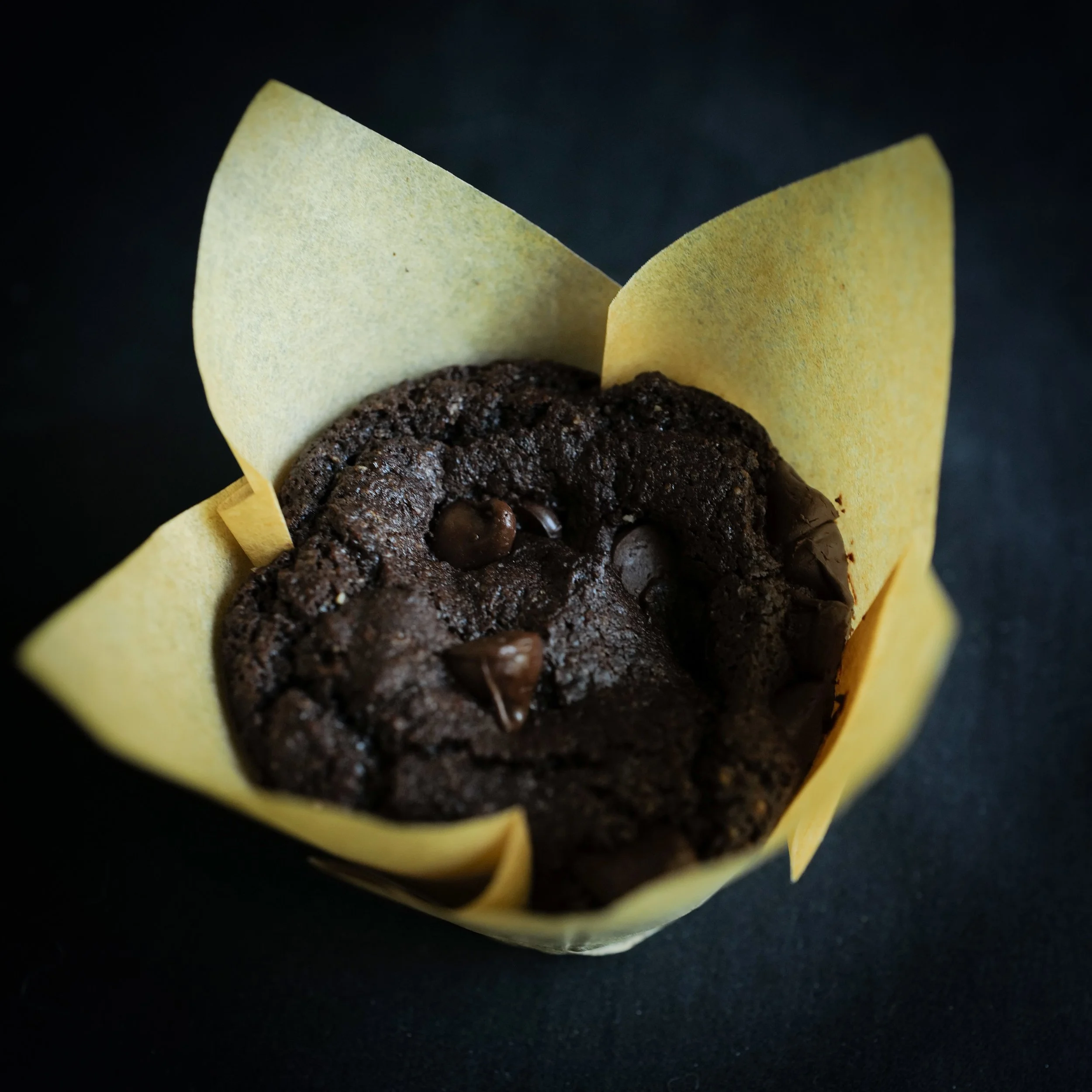Double Chocolate Muffin.jpg