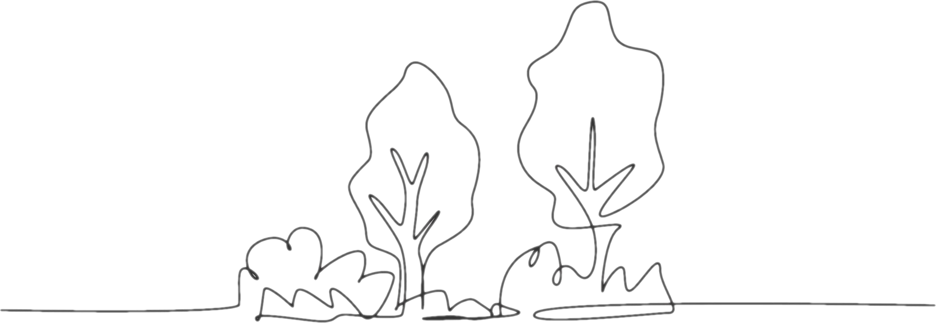 Houston Psychiatry Services