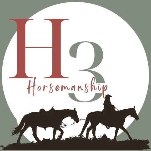 Blog Post Title Two