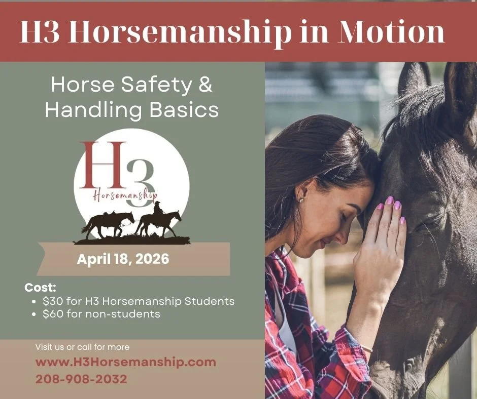 H3 Horsemanship in Motion: Horse Safety & Handling Basics