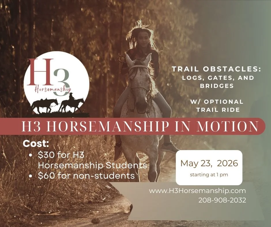 H3 Horsemanship in Motion: Trail Obstacles: Logs, Gates, and Bridges