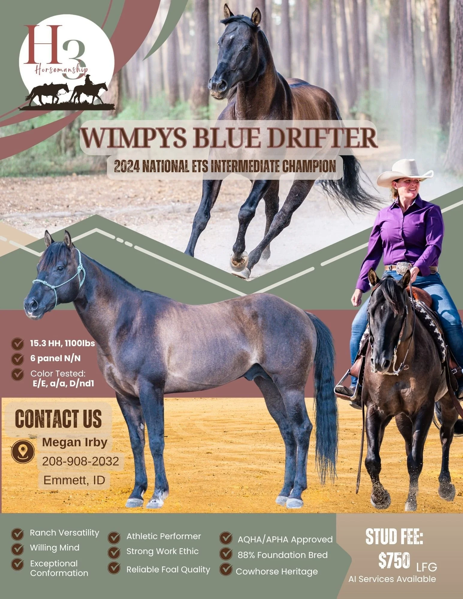 2026 Stallion Flyer (2).jpg