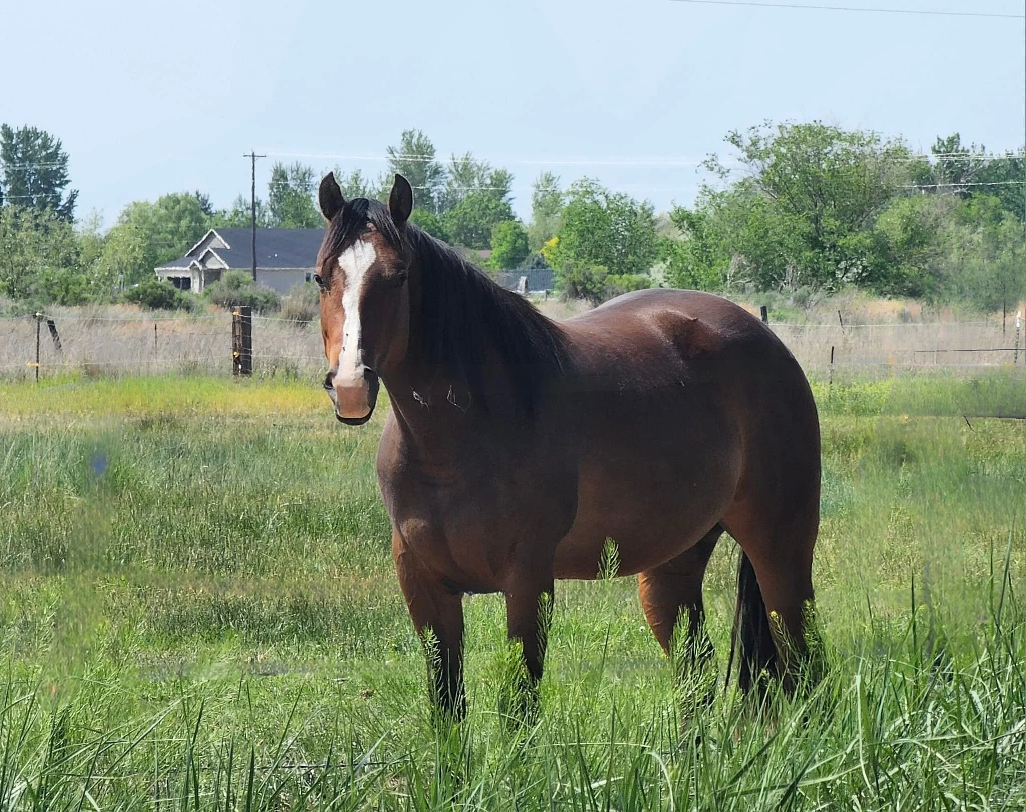 Untitled design (3).jpg