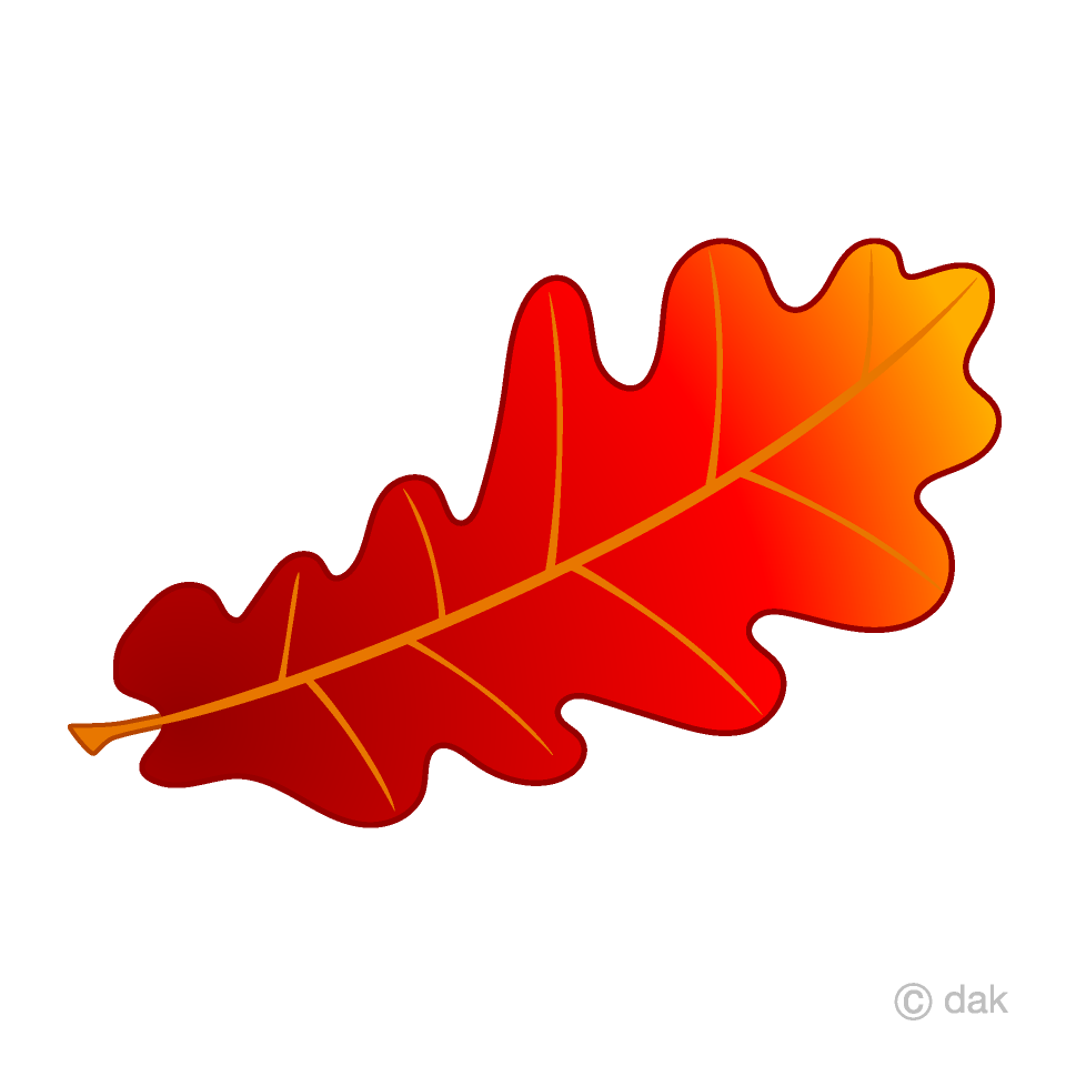 Fall Sale - Participation Fee