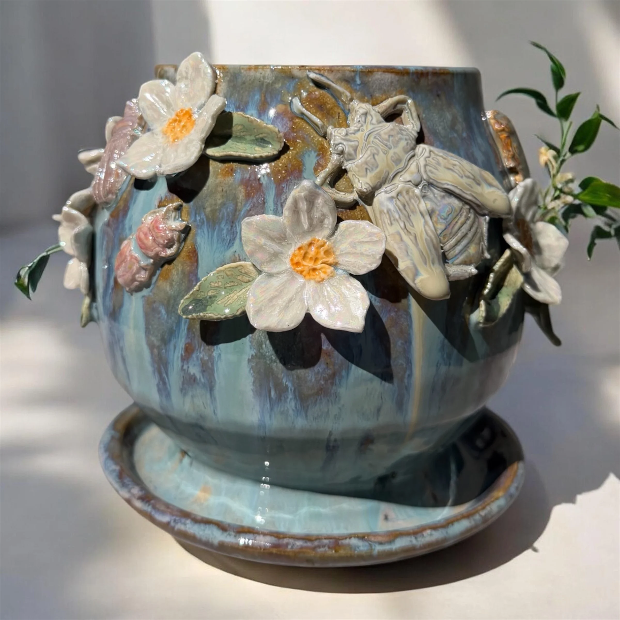 SarahW-Beetle Planter.jpeg