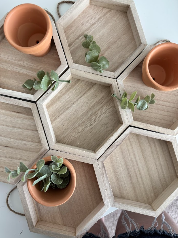 Wooden hexagon-shaped trays with small potted succulents and empty terracotta pots, arranged on a wooden surface.