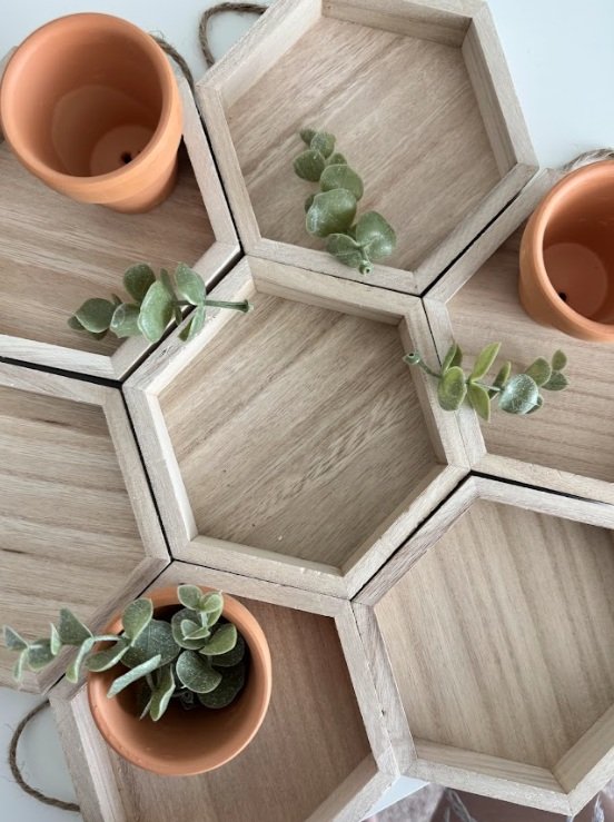 A hexagonal wooden tray with three small terracotta pots and green trailing plants, arranged on a light-colored surface.