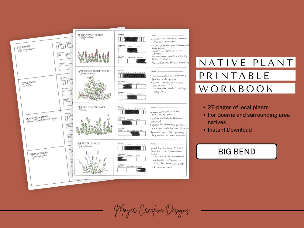 A printable workbook titled 'Native Plant Printable Workbook' by Mayer Creative Designs. It contains 27 pages of local plant illustrations, focusing on native plants for Boerne and surrounding areas. The cover highlights six illustrated plants with notes and growth data.