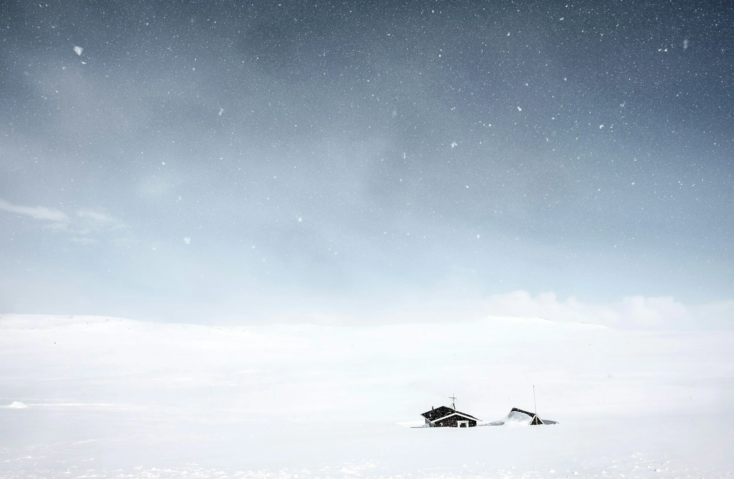 ❄️ The Autistic Winter Crash