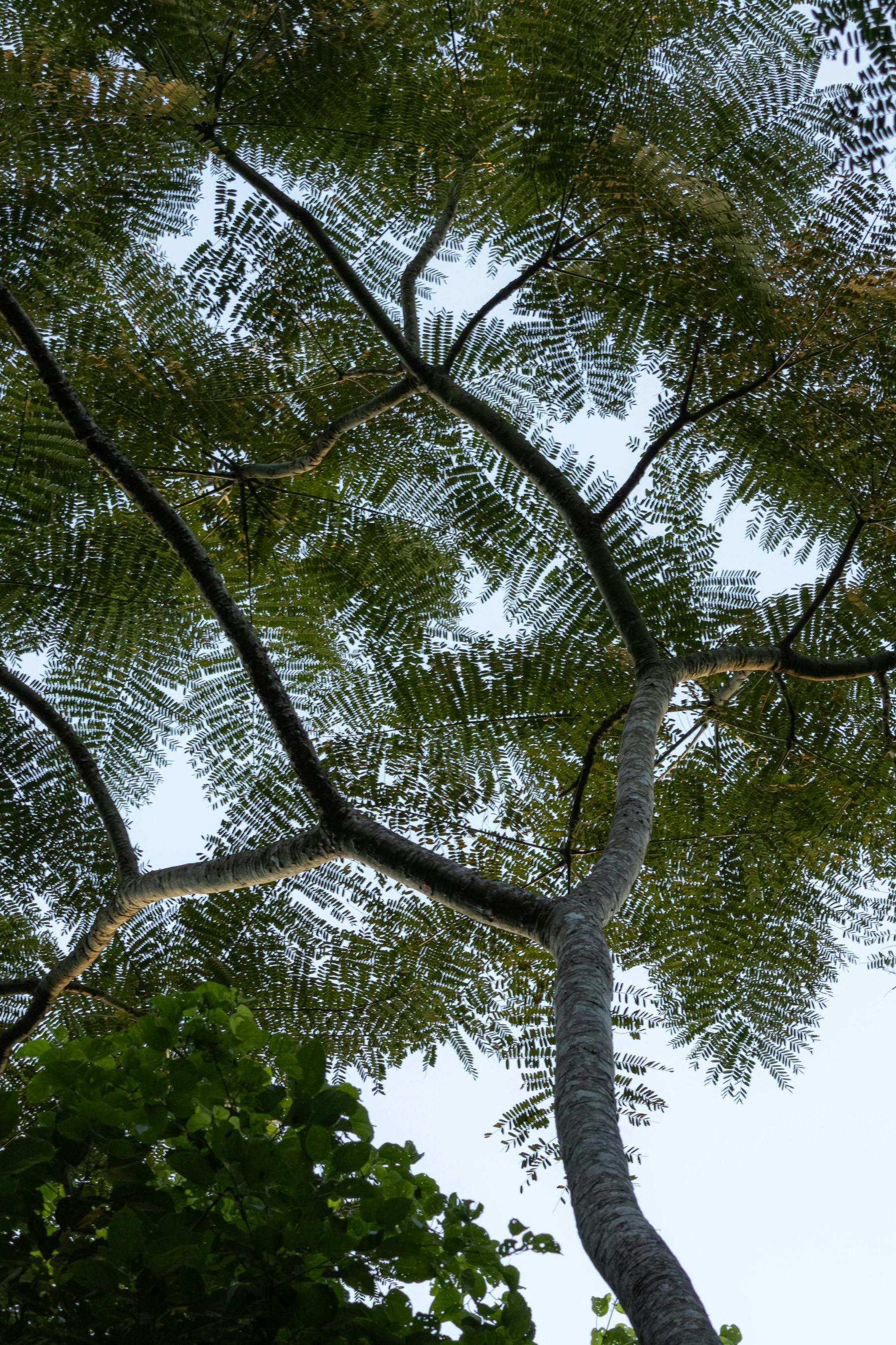 Enviro Courses NZ313.jpg