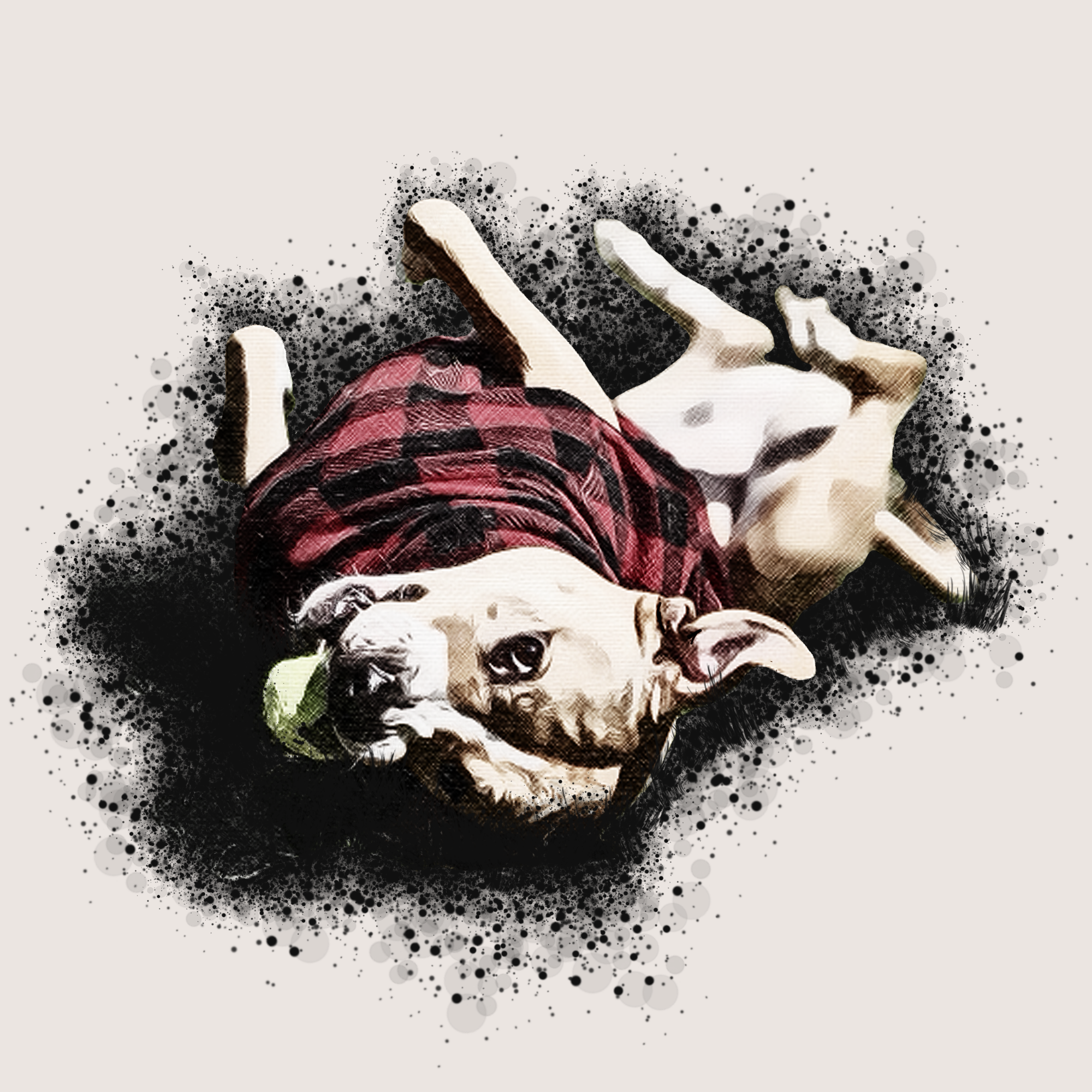 pup12.png