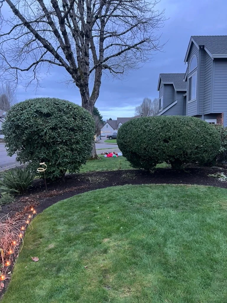 spring yard cleanup