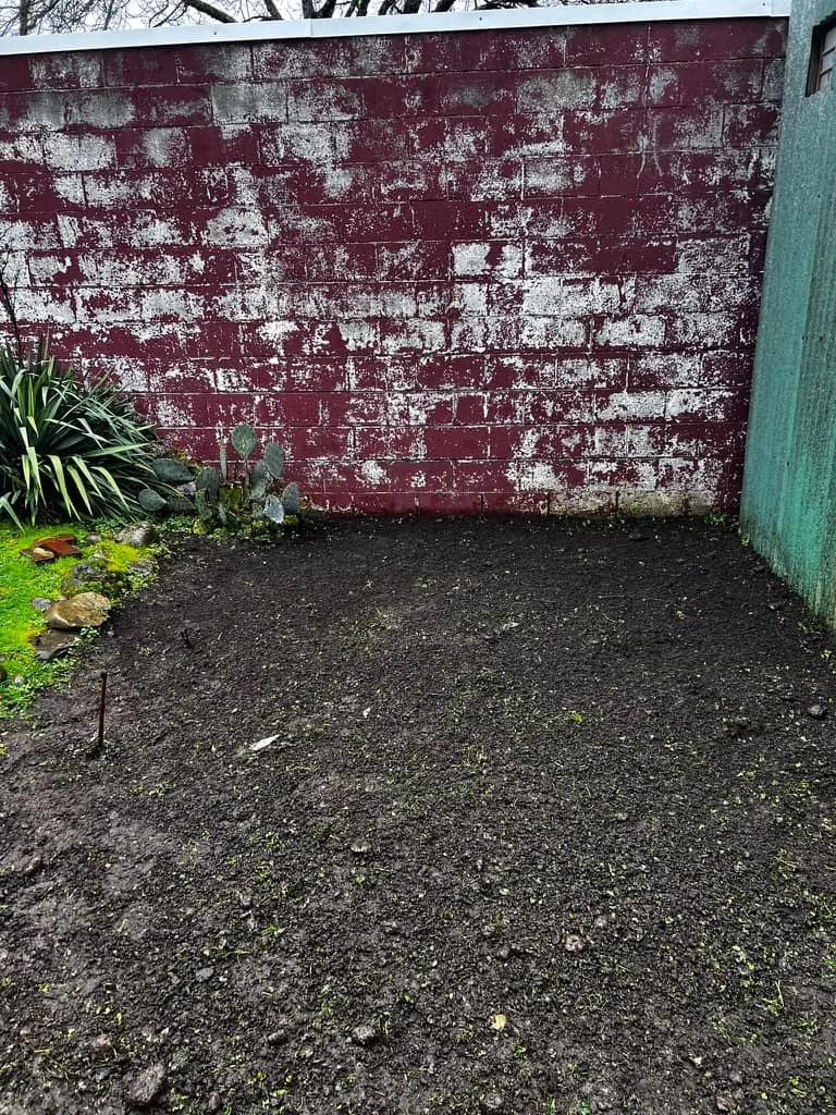 Portland Weed Removal