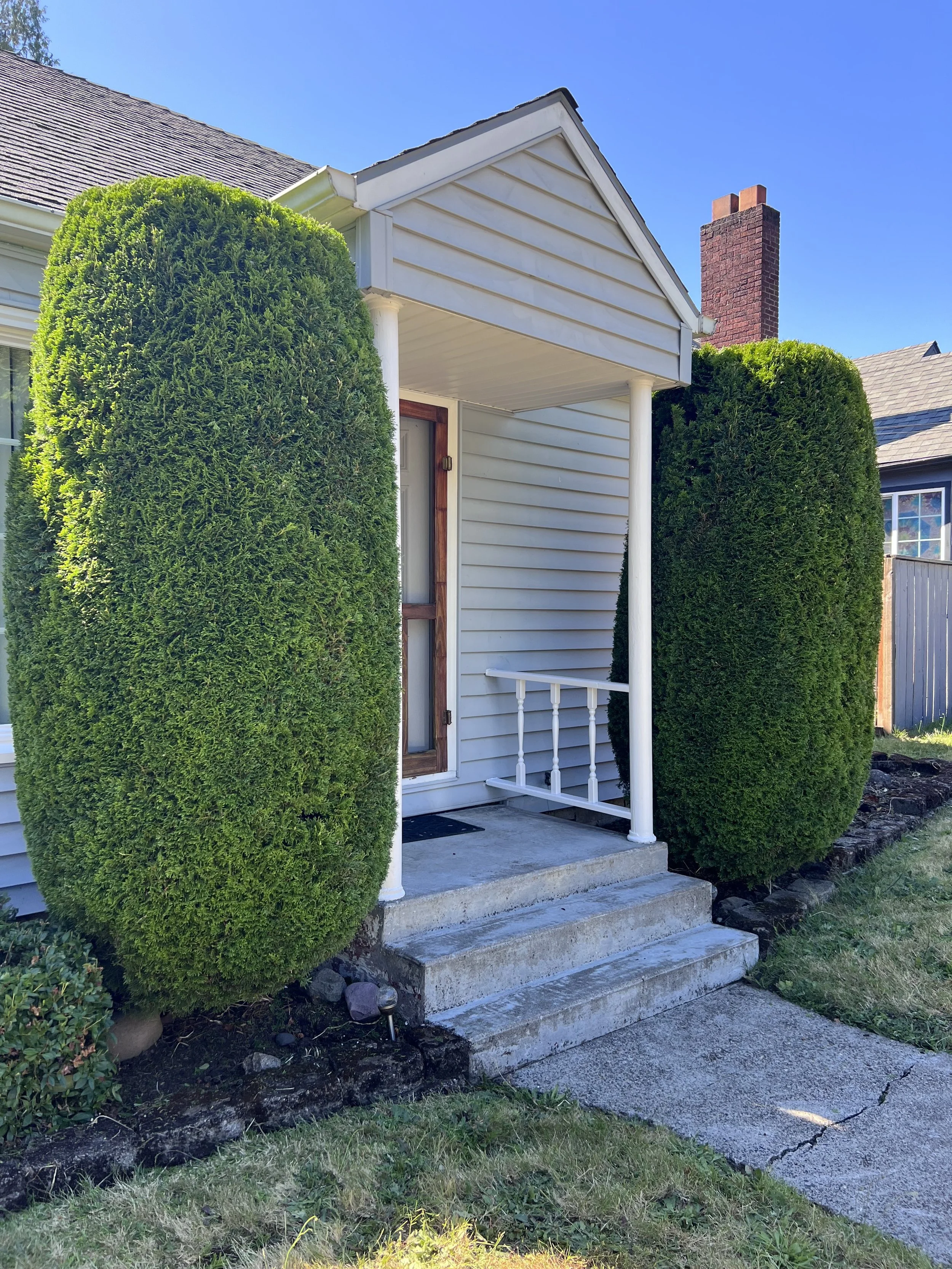 mulch, gutter cleaning, trimming