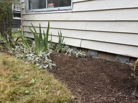 yard debris removal