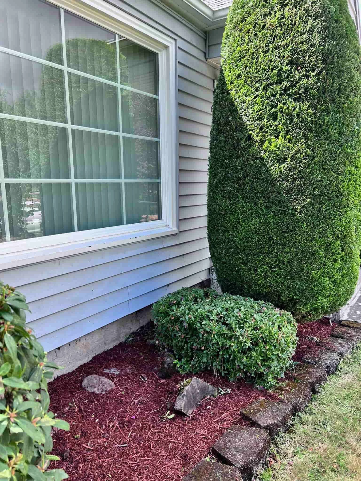 weed control mulch