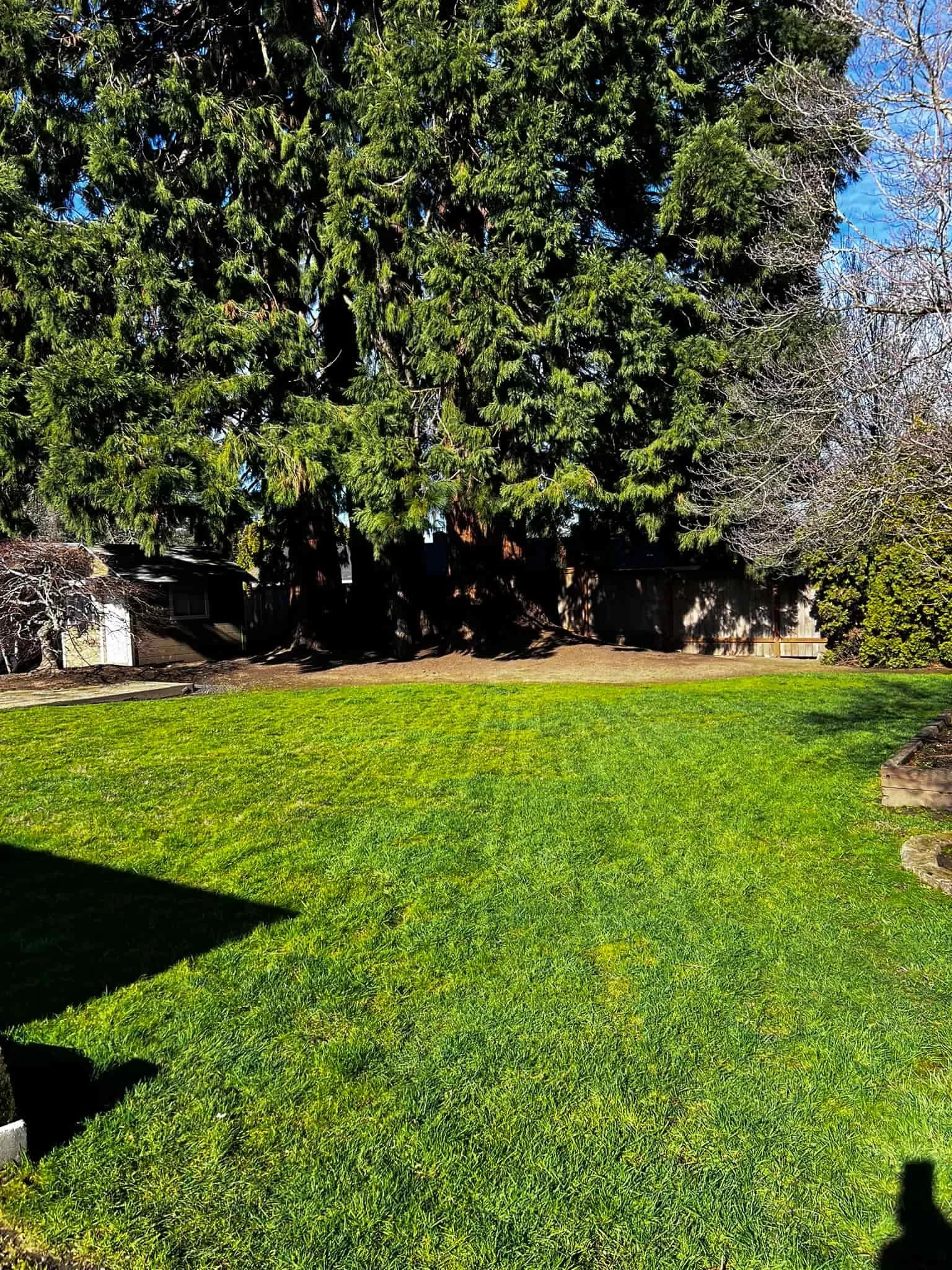 Portland Lawn mowing