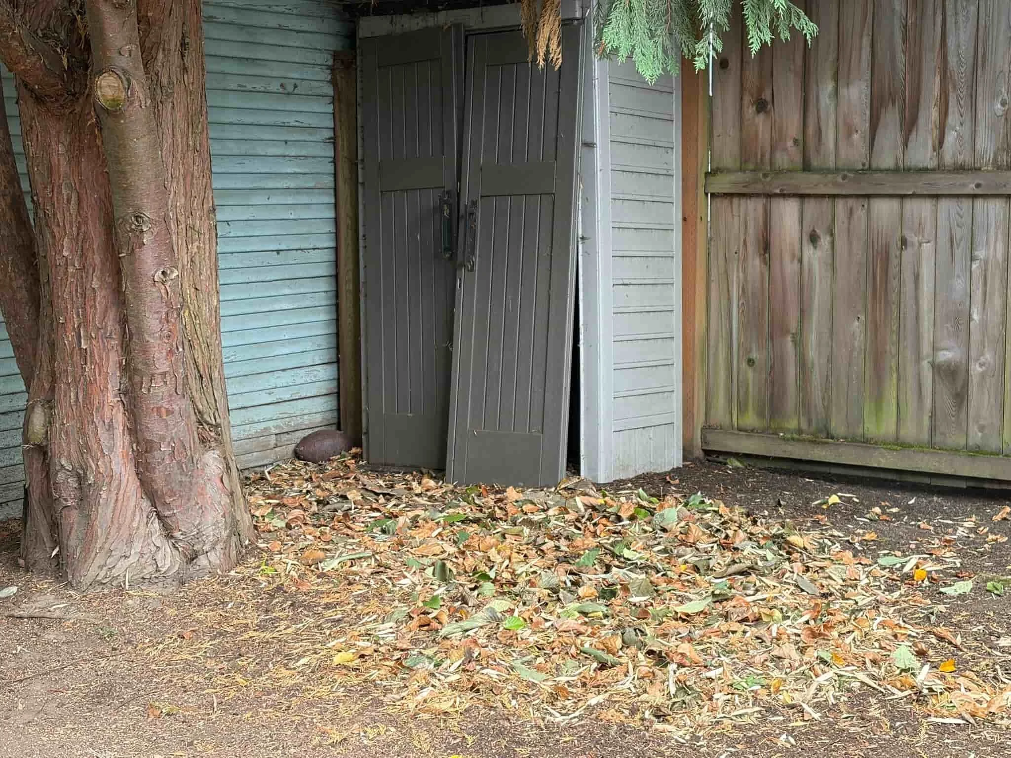 leaf removal portland