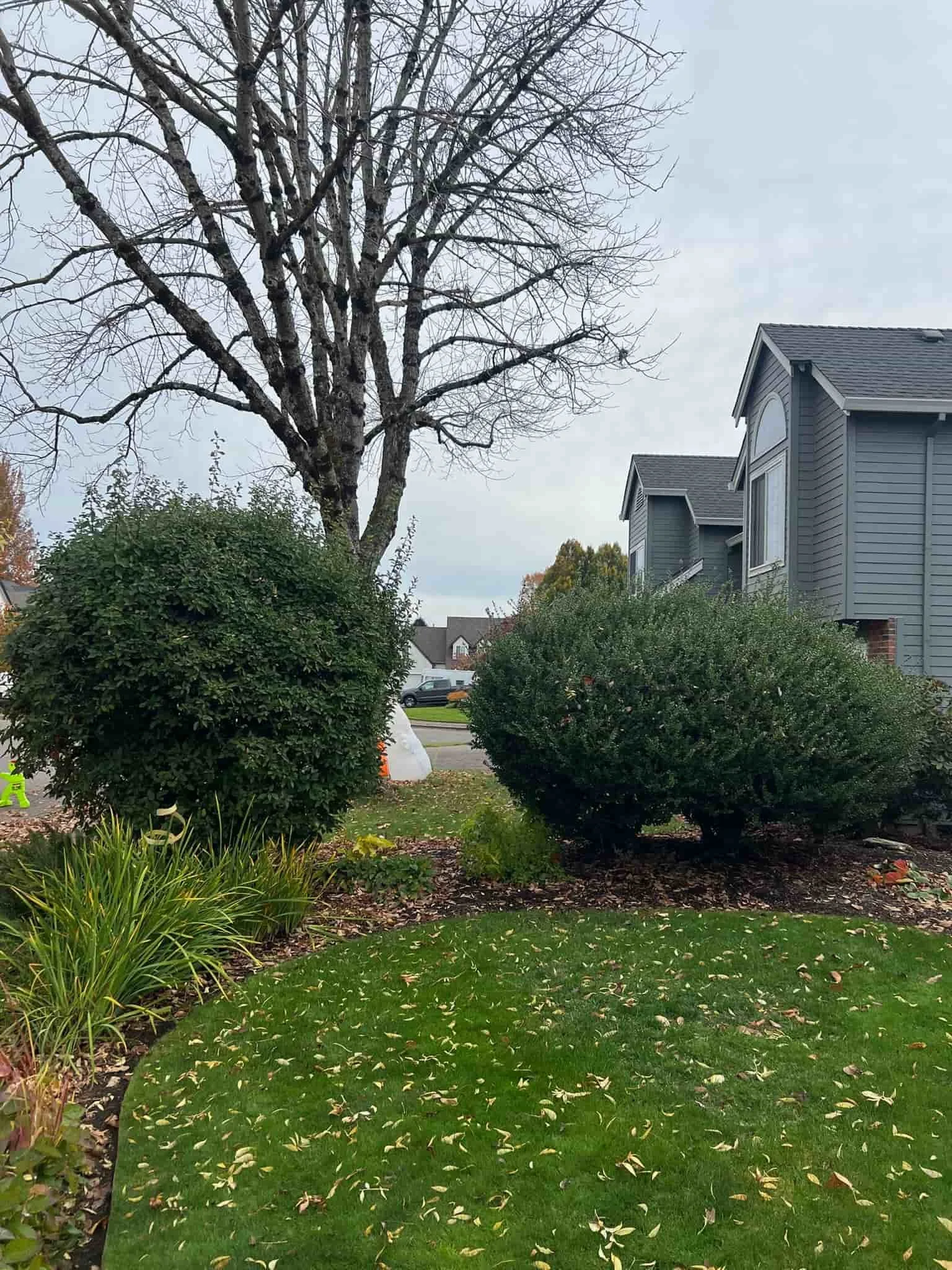 Tualatin lawn Care