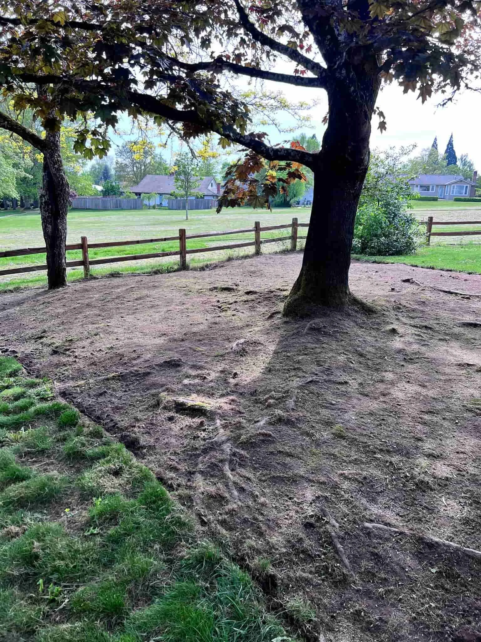 Weed removal