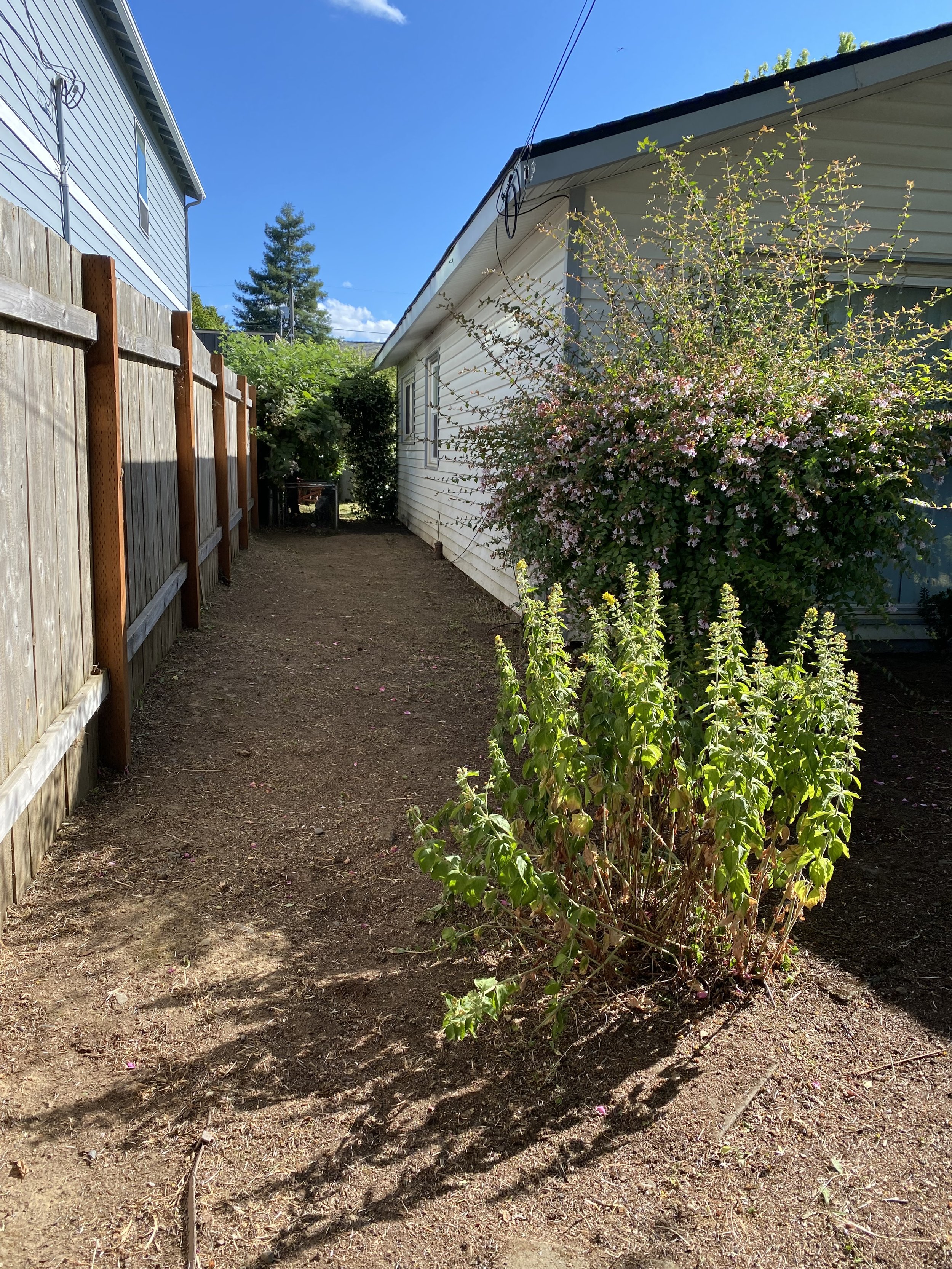 Yard Care Portland