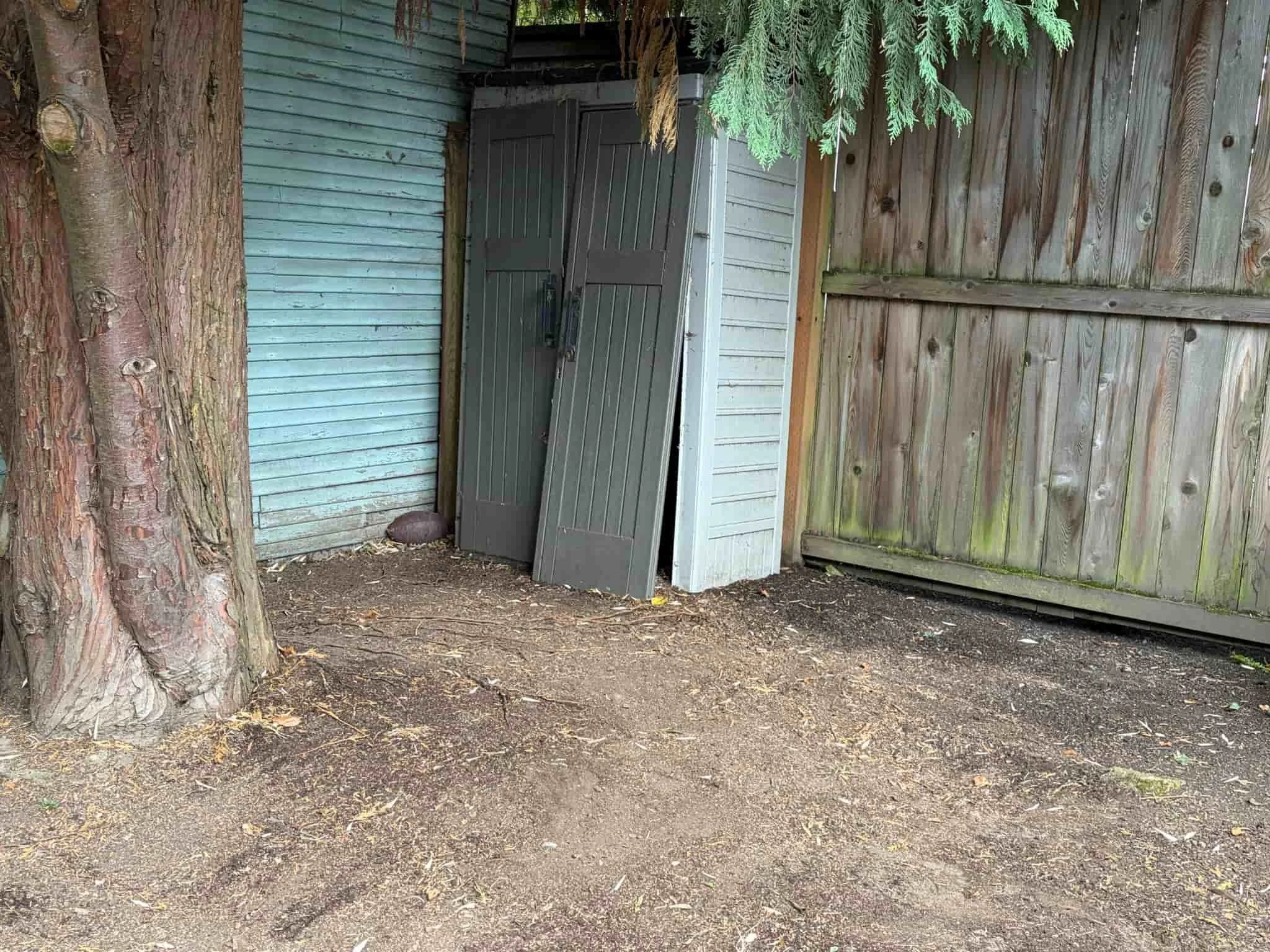 leaf removal portland