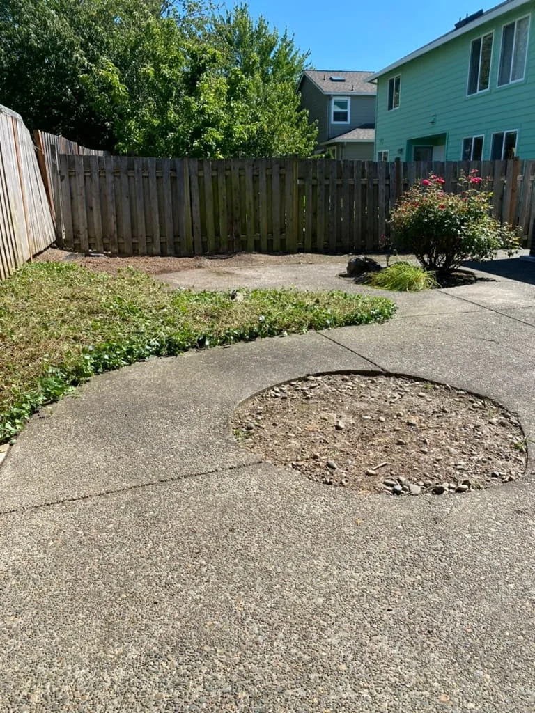 One time yard cleanup