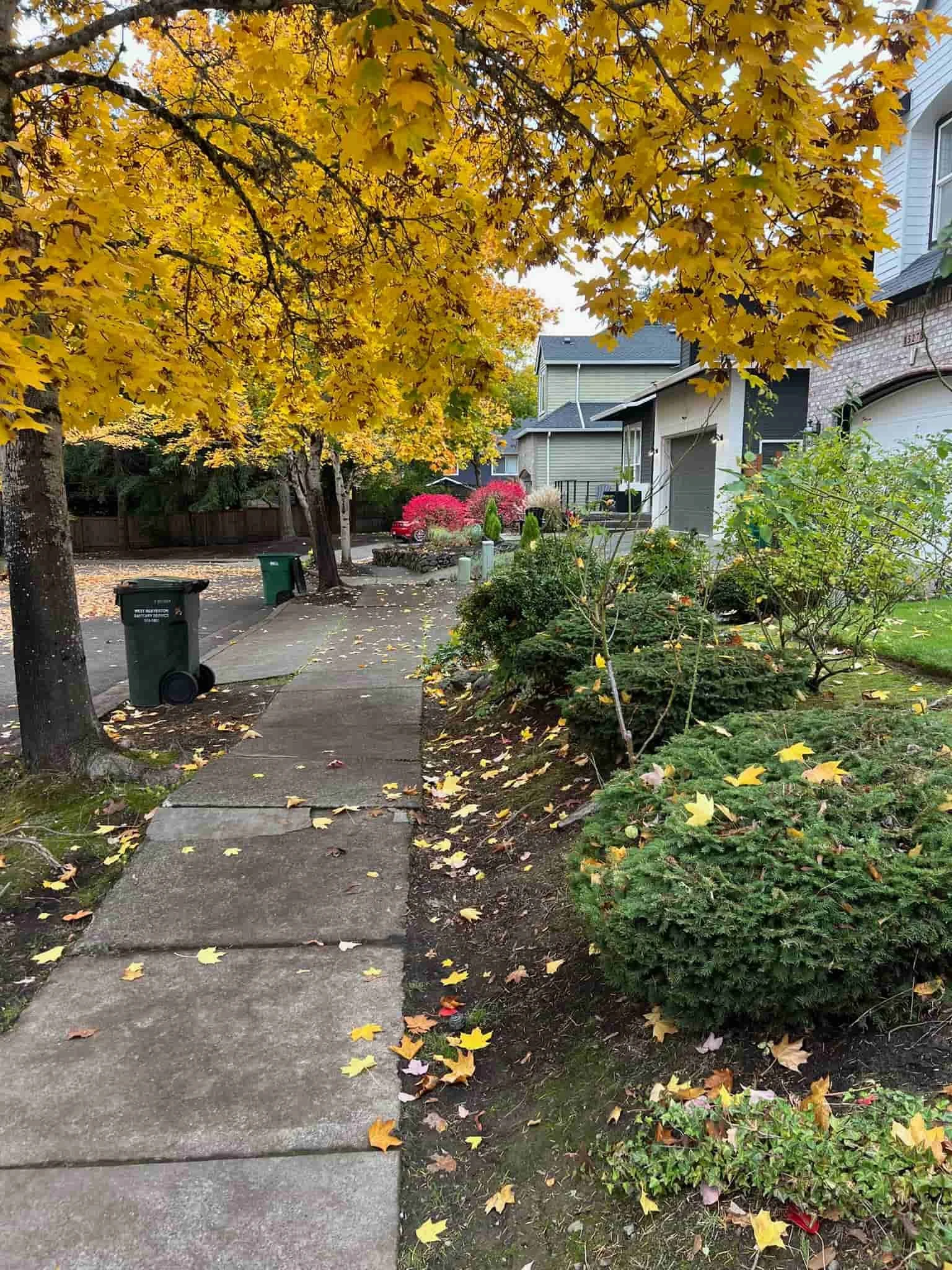 leaf removal