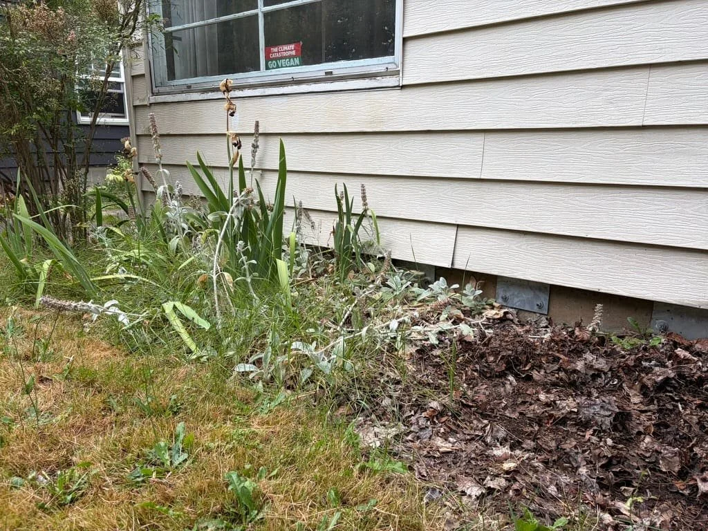 yard debris removal