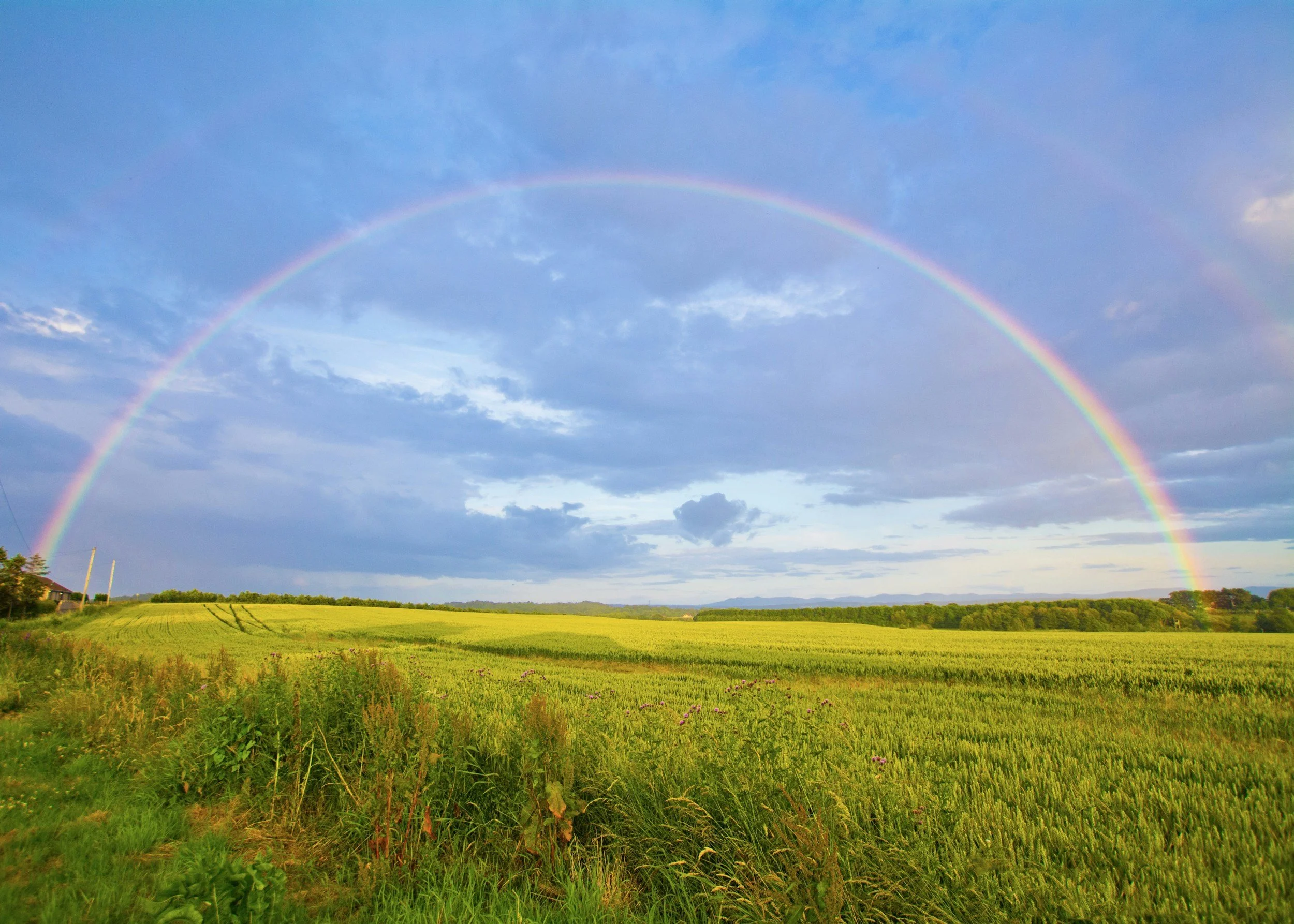 Green farmland with a rainbow arching across a partly cloudy sky.