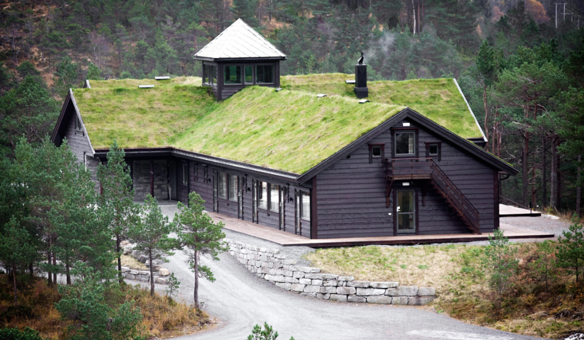 A black wooden house with a green grassy roof, surrounded by trees and a gravel driveway, situated in a forested area.
