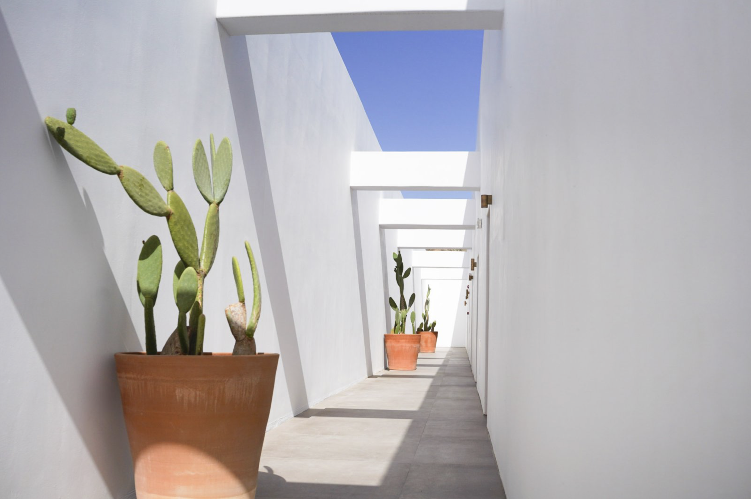 Screenshot 2026-03-31 at 6.06.19 PM.png