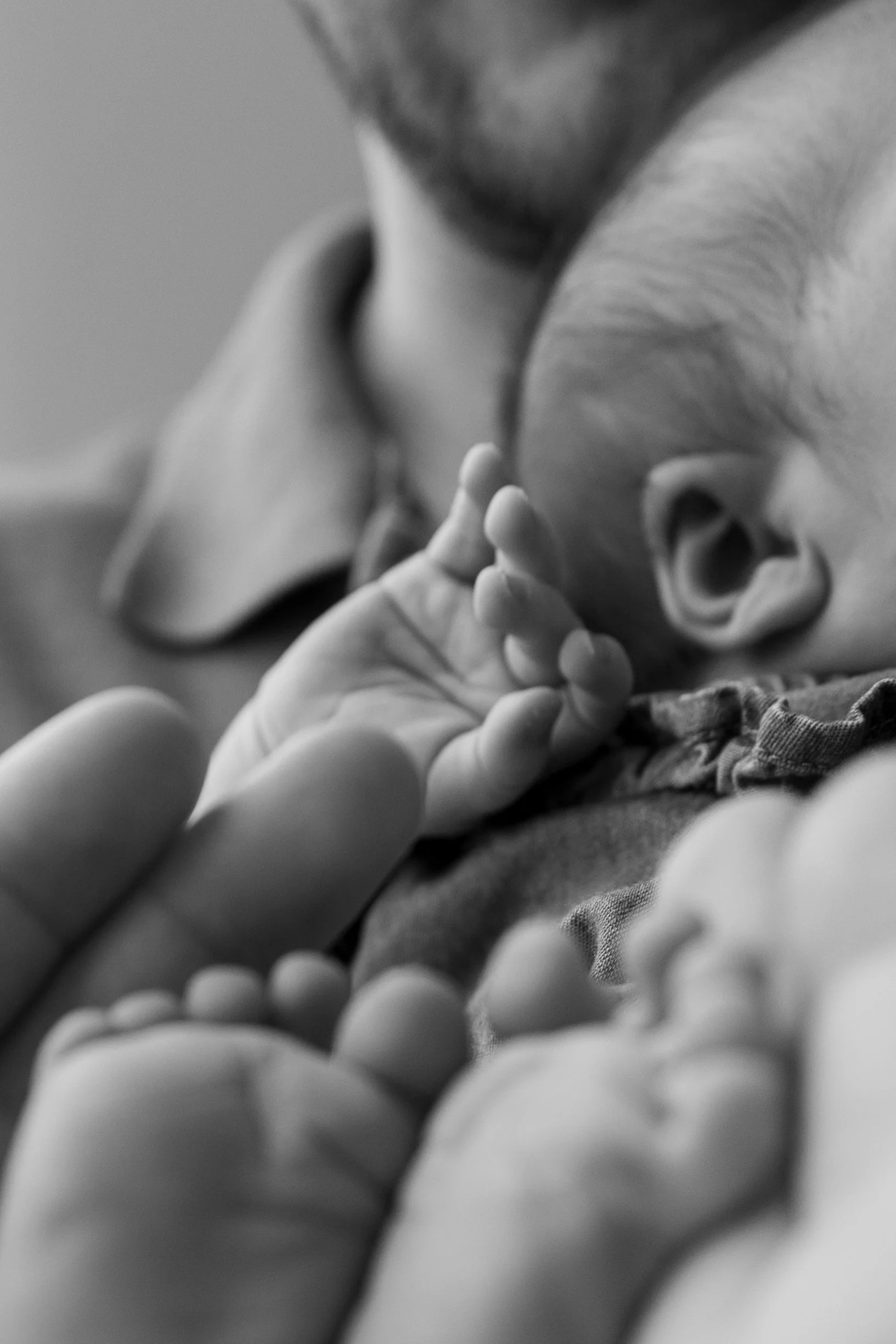 haydenfancherphoto-9 3.JPG