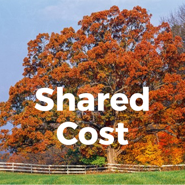 Second Payment (50% of total)