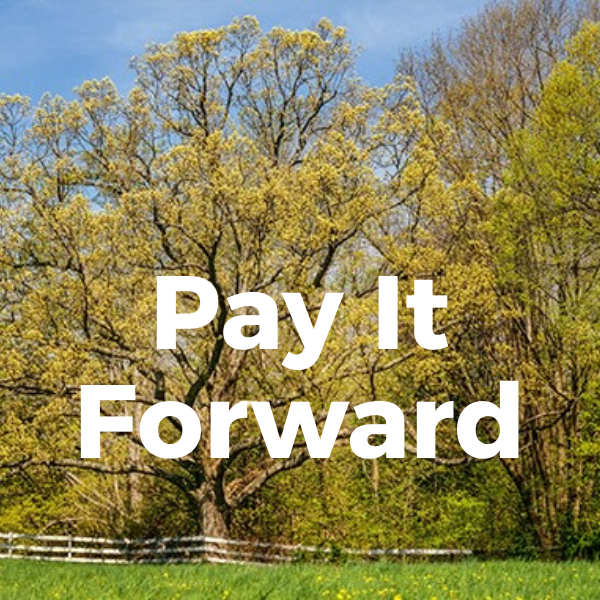 First Payment (50% of total)