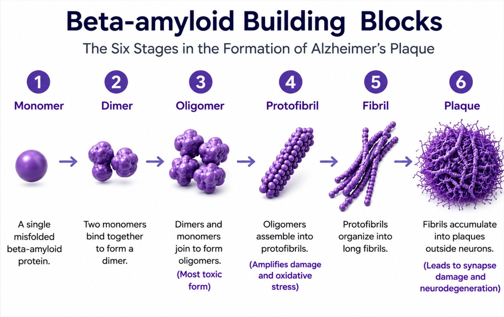 How Leqembi’s Multi-Target Strategy Fights Alzheimer’s 