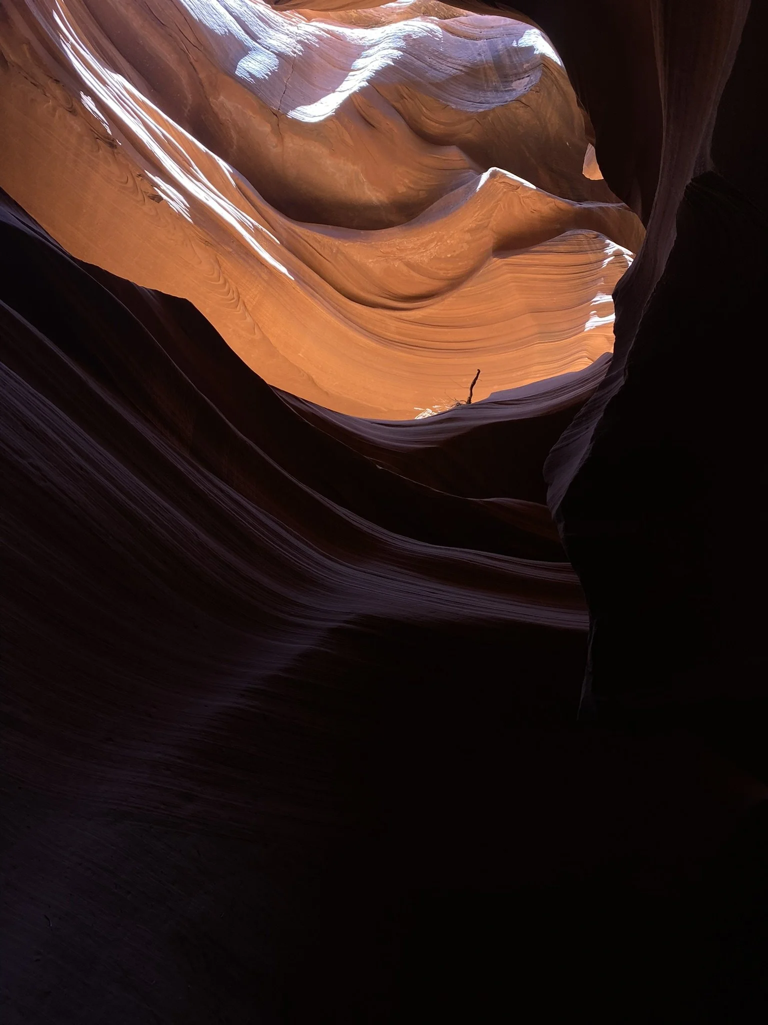 22D2783C-DA96-4E8F-8D42-AE25B7DCEFEE_1_102_o.jpeg