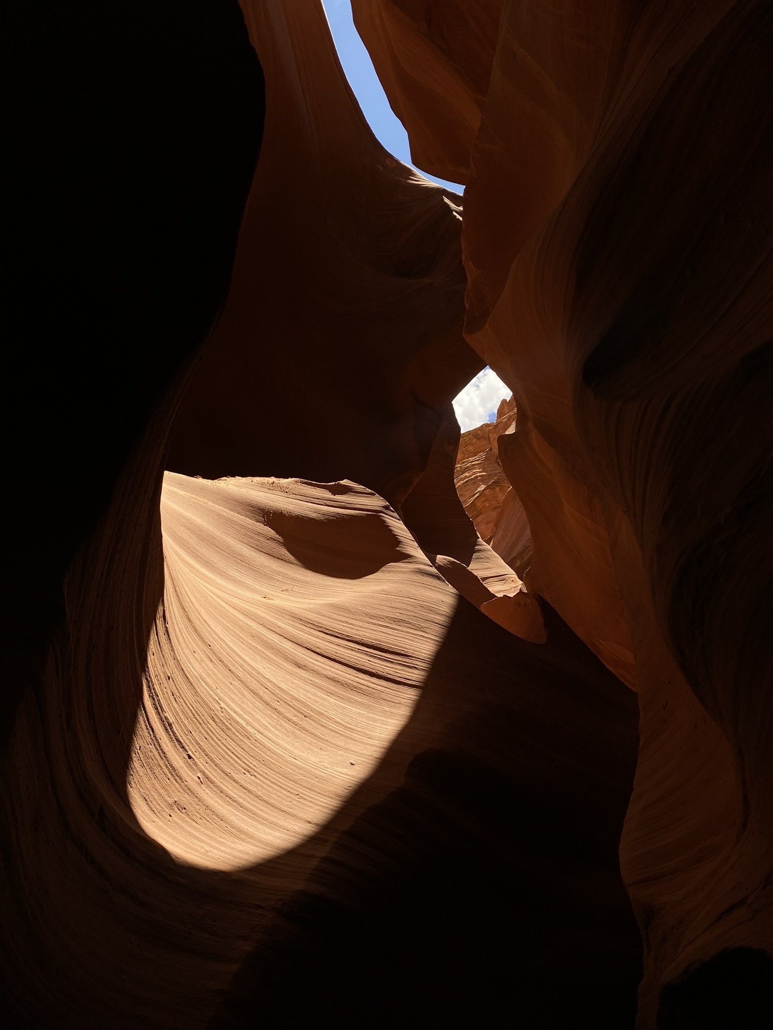 C0A4818B-7F95-439B-8B84-91477A190556_1_102_o.jpeg