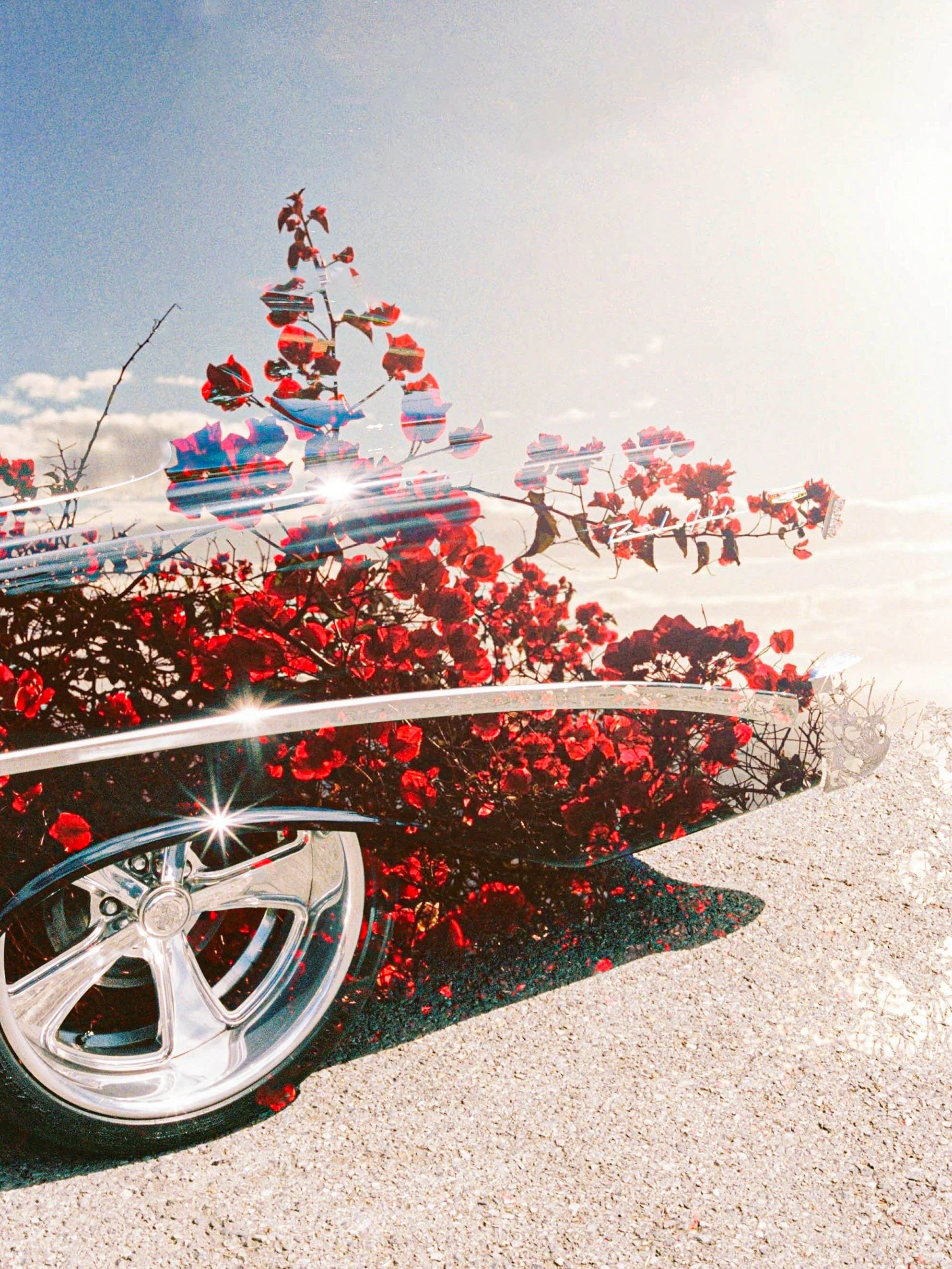 Bel Air Dreams-2.jpg