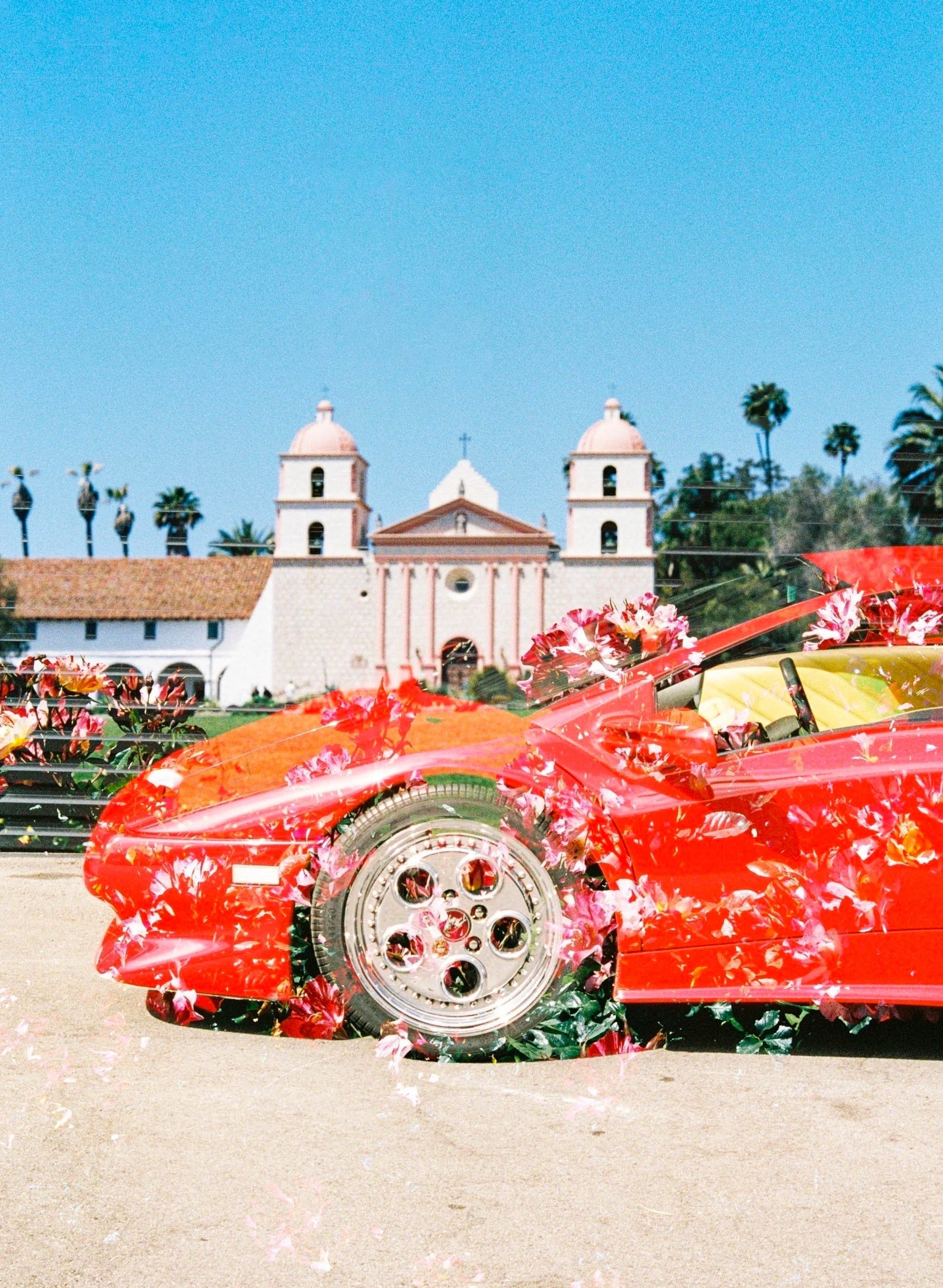 Diablo's Roses-3.jpg