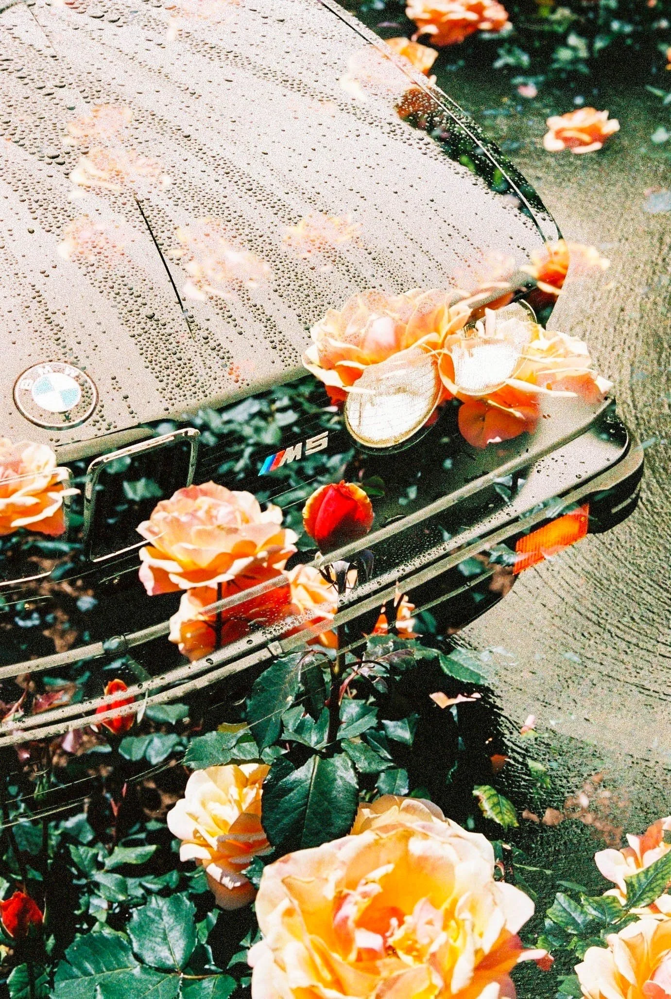 Raindrops from the 80's.jpg