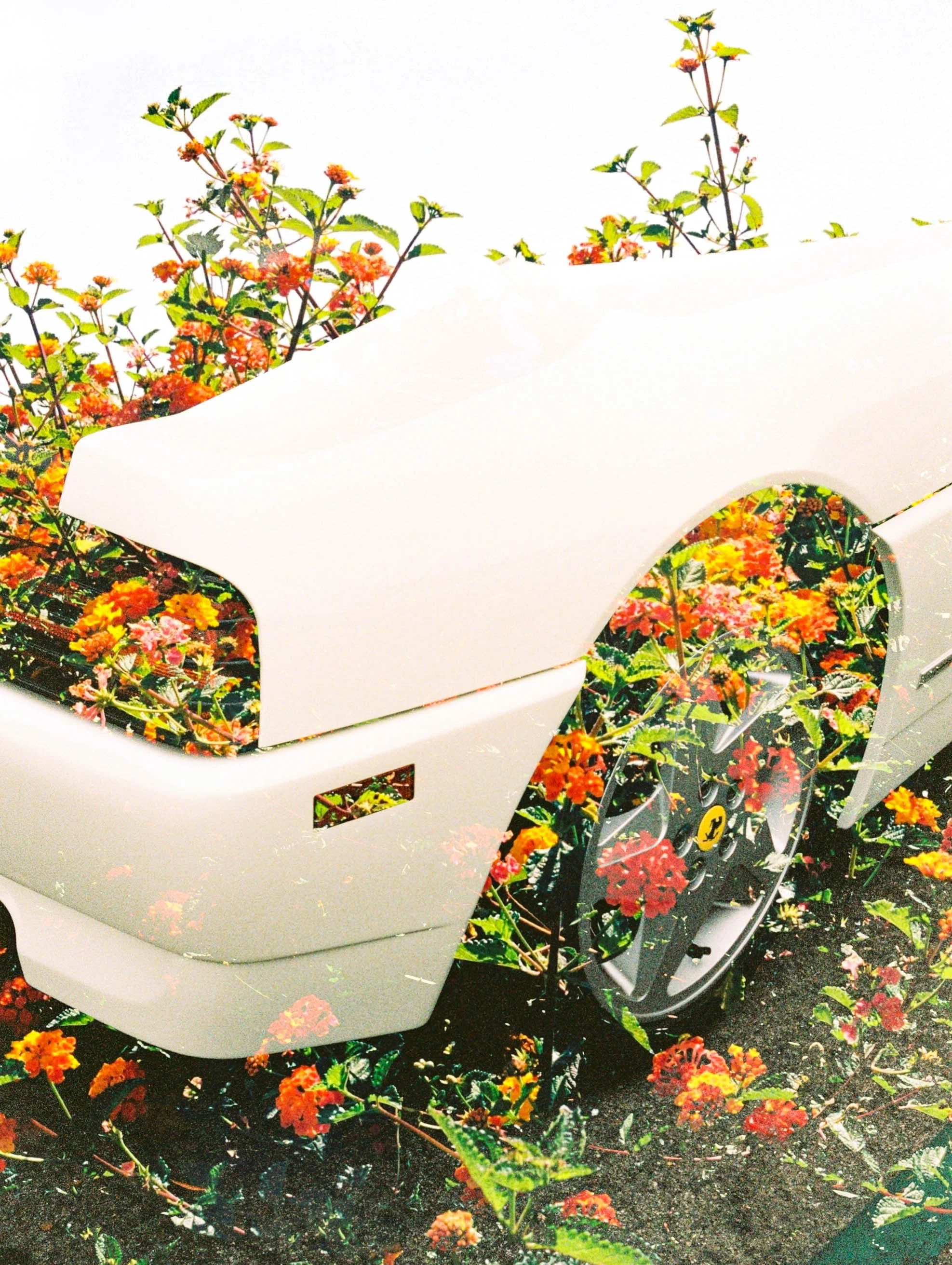 White Ferrari 1&2.jpg