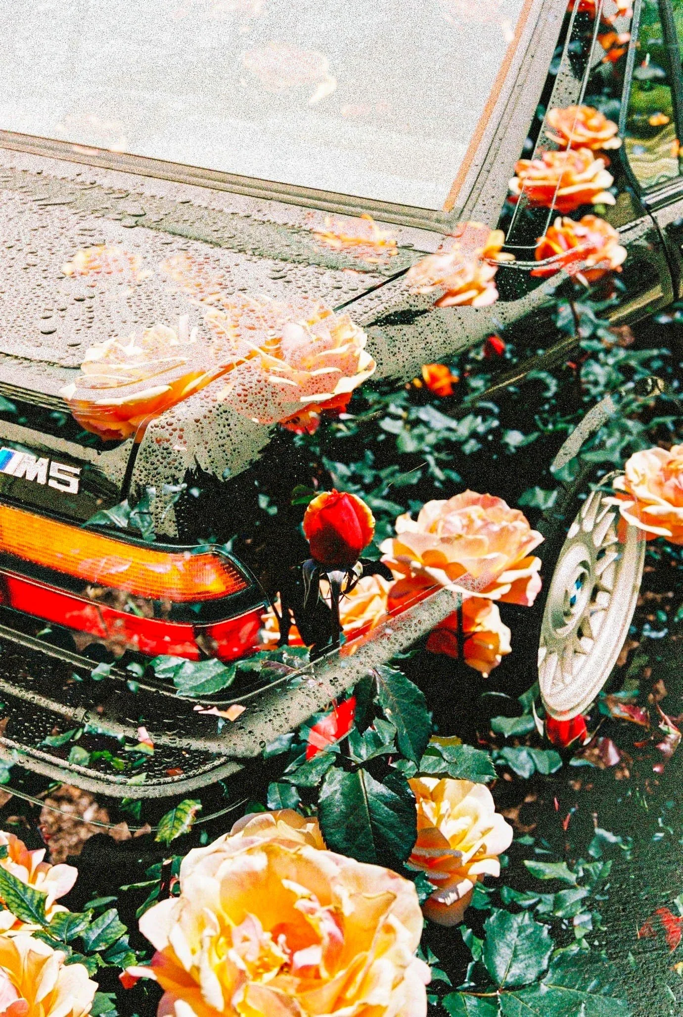 Rain from the 80's-2 copy.jpg