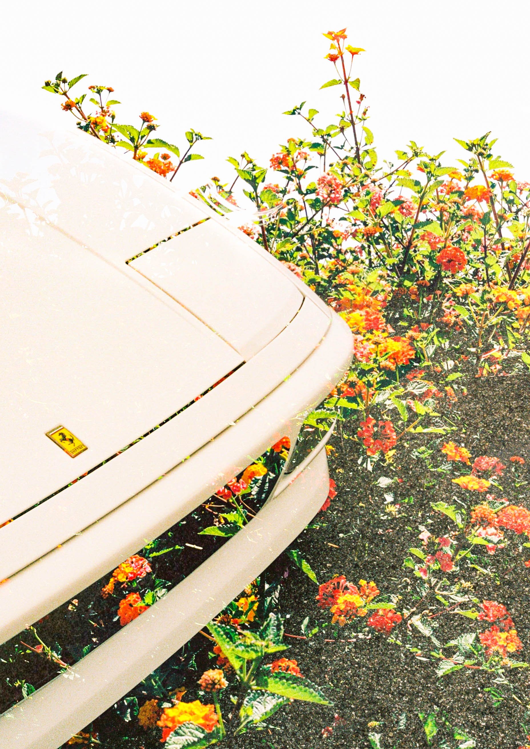 White Ferrari 1&2-2.jpg